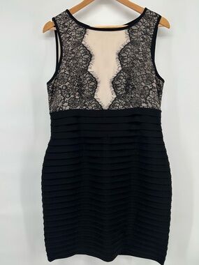Established 1962 Black Lace Accent Sleeveless Sheath Dress Nude Women's 12